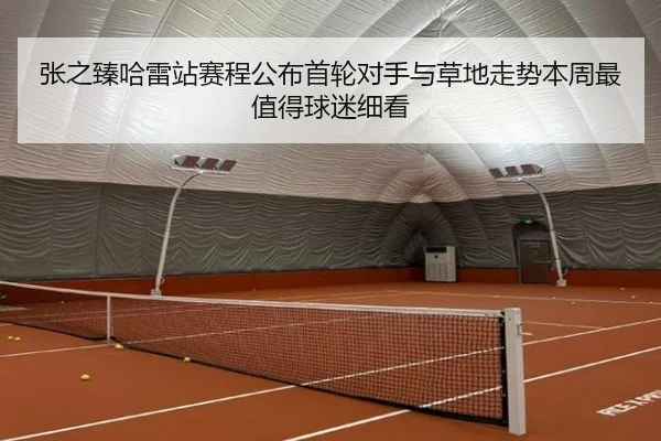张之臻哈雷站赛程公布首轮对手与草地走势本周最值得球迷细看